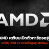 250620 NBS amd gpu hdmi 2 2